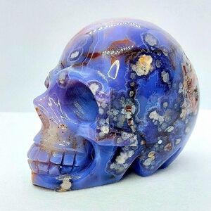 💀 2lb Blue Flower Agate Skull Reiki Healing Home Decor